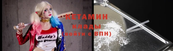прущие грибы Дмитровск