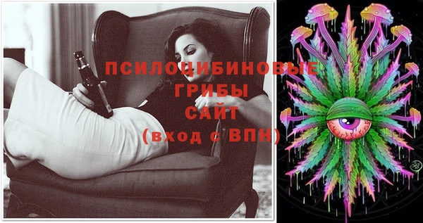 ECSTASY Дмитриев