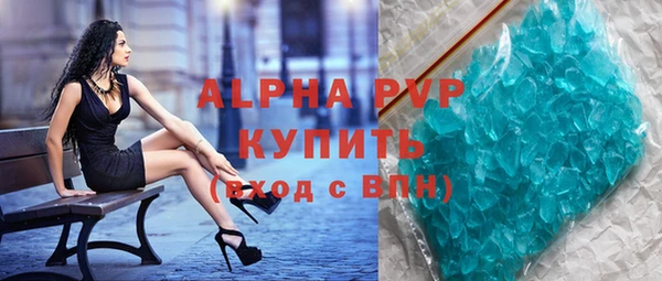 прущие грибы Дмитровск