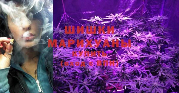 ECSTASY Дмитриев