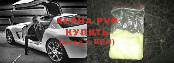 прущие грибы Дмитровск