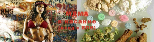 прущие грибы Дмитровск
