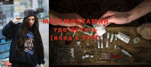 прущие грибы Дмитровск